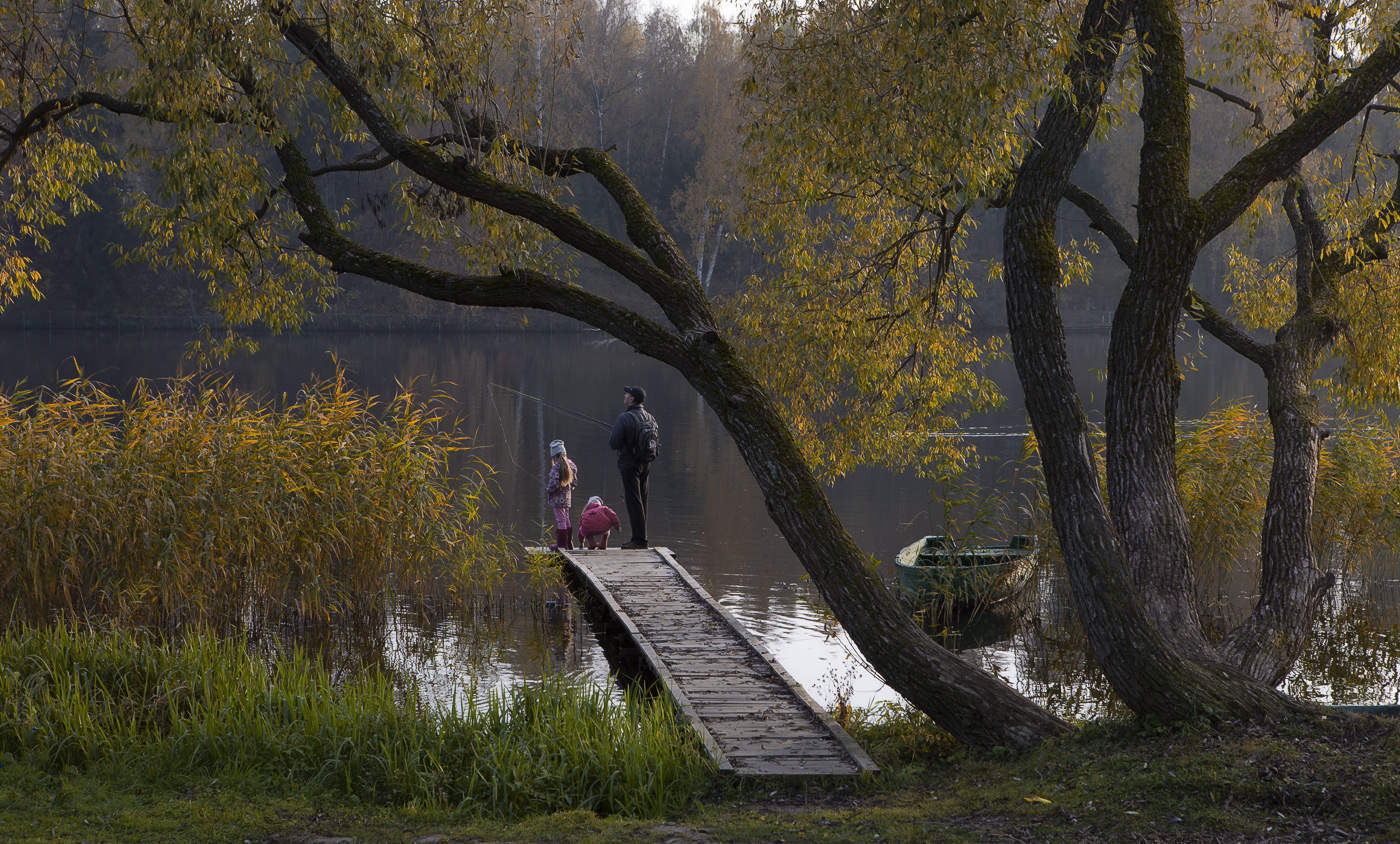 Осенний ноктюрн