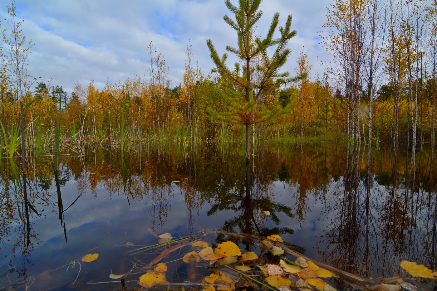 Осенний этюд.