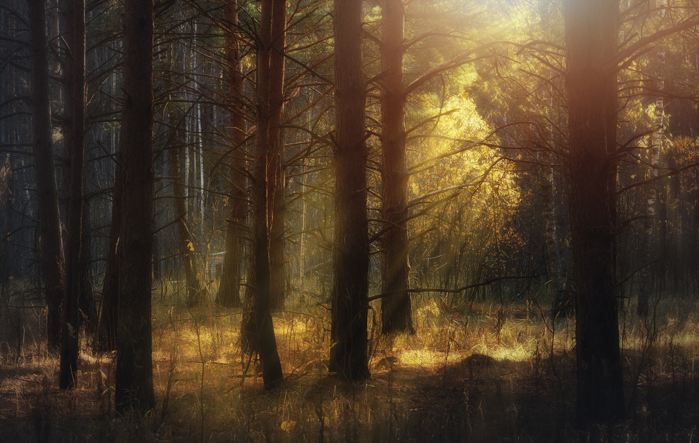 Последние дни осени.