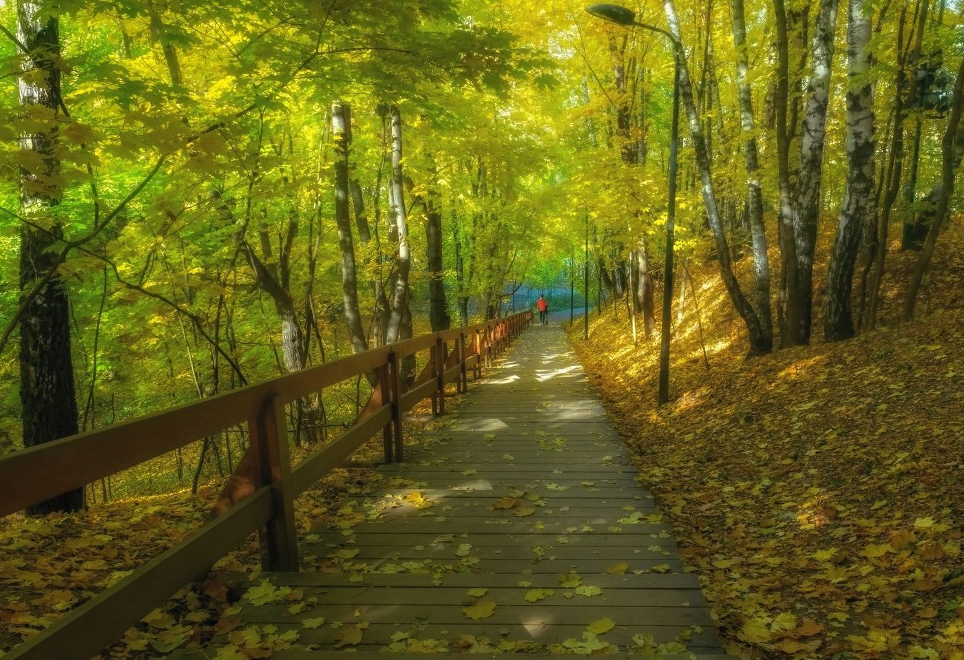 Осень на Воробьевых горах