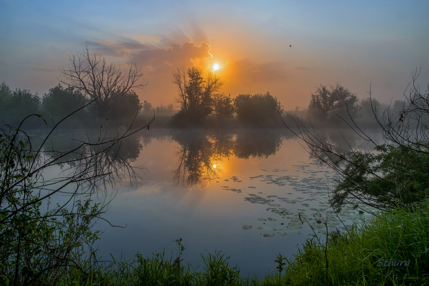Весеннее утро.
