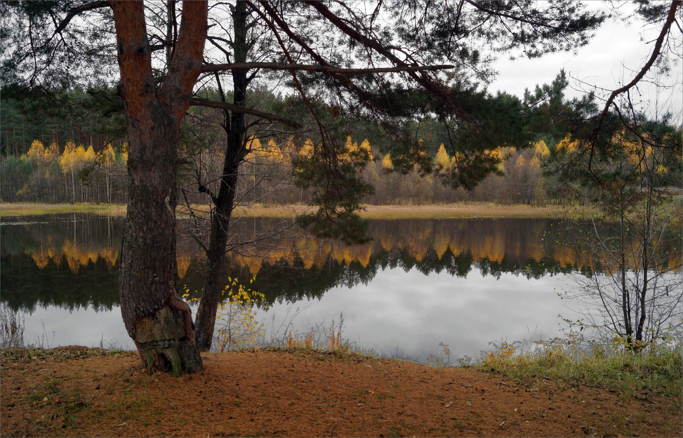 Смотрюсь в озера...