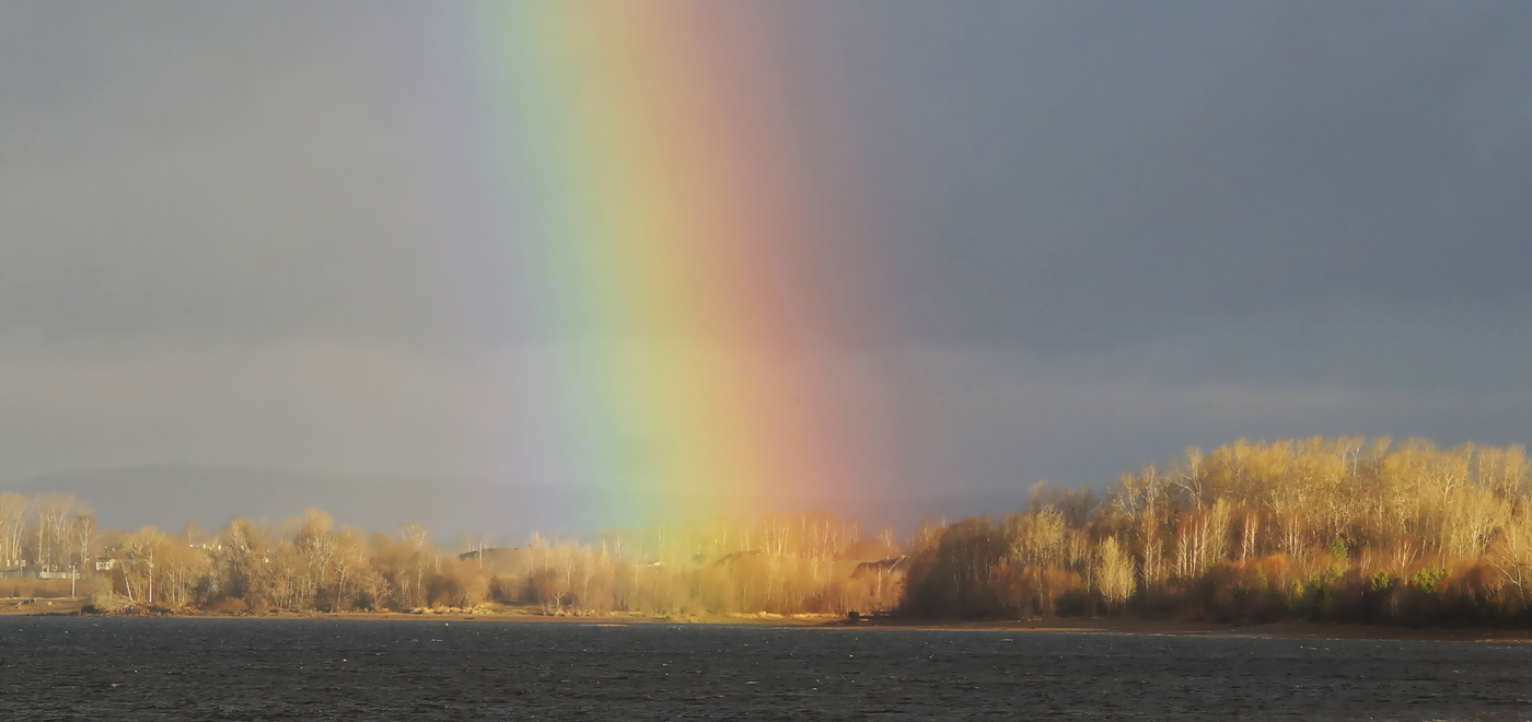 Про фазана...