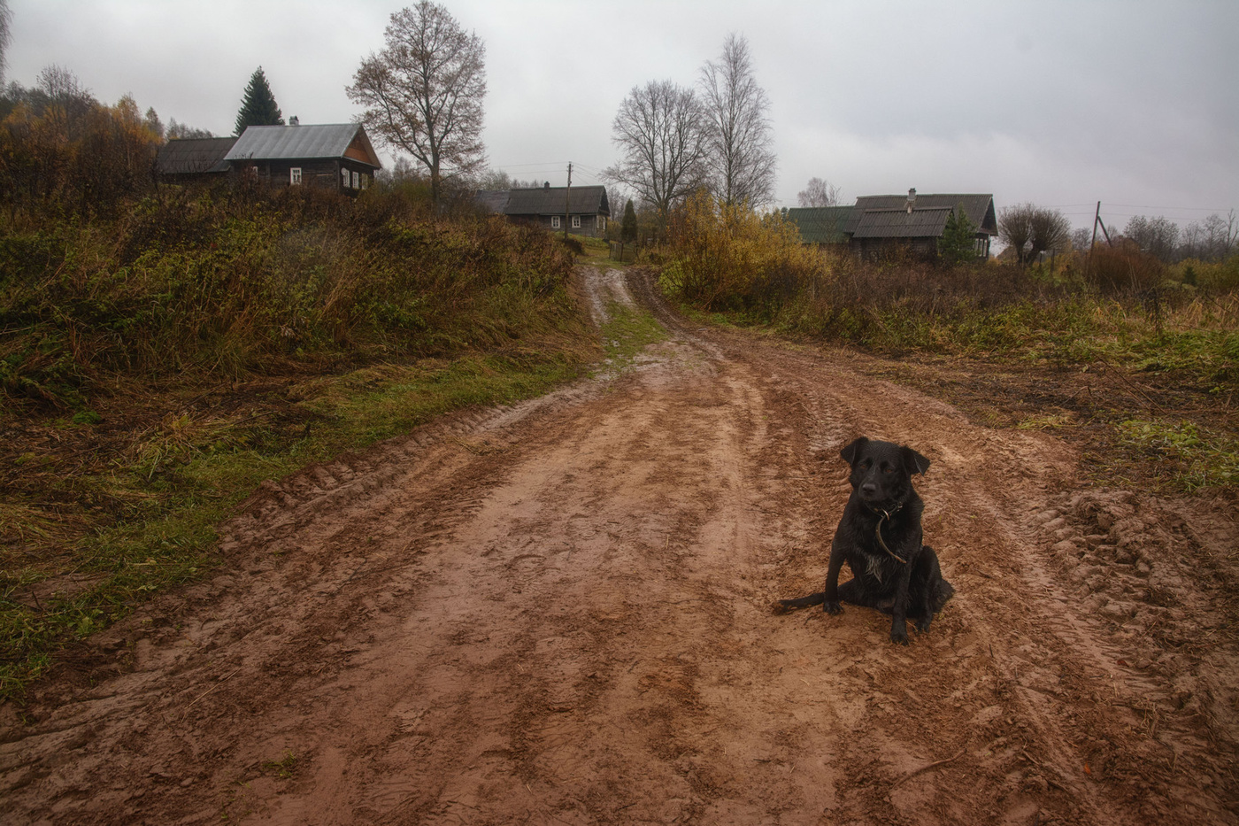 Жизнь вокруг