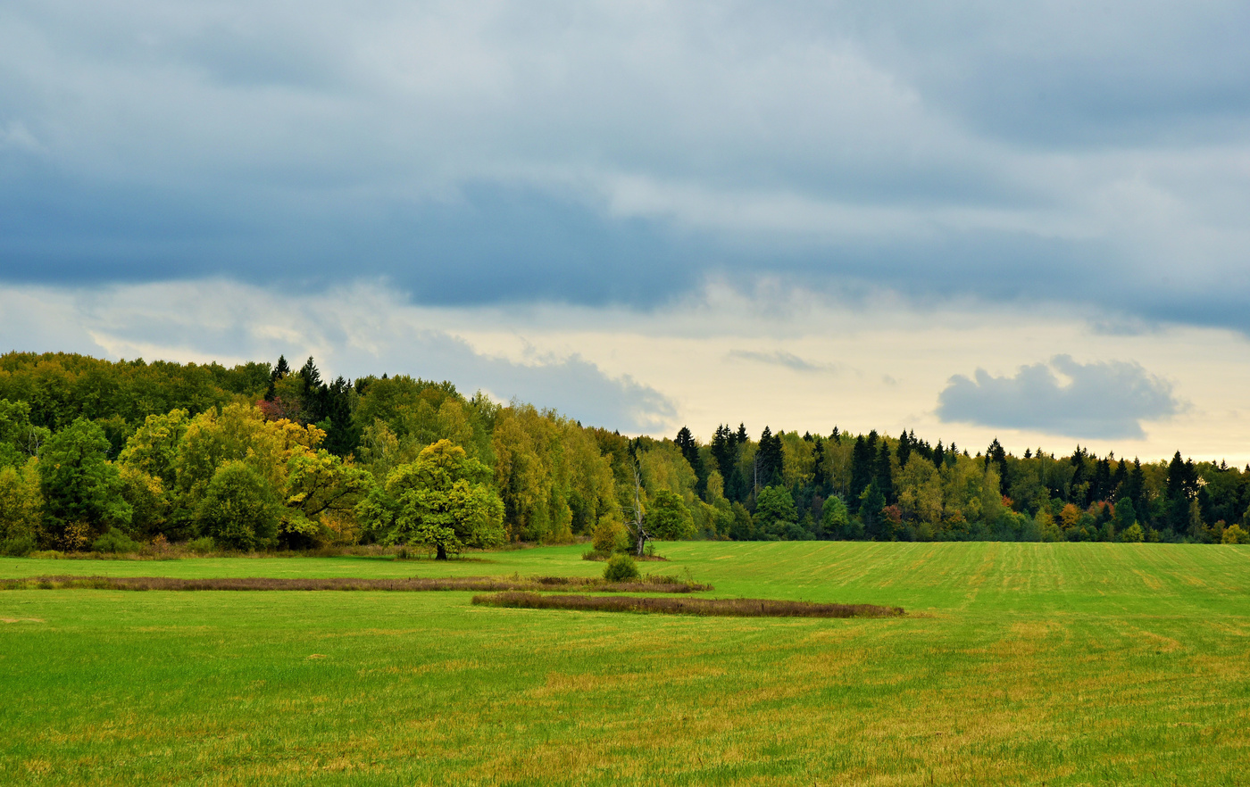 "Внутри меня осенняя пора ..."