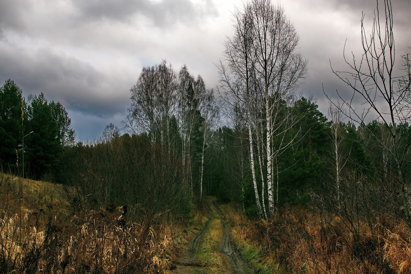 Хмурая осень.