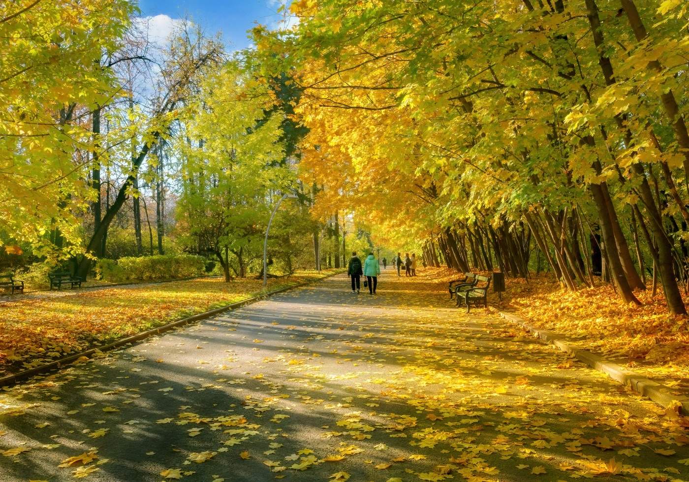 Осень в парке