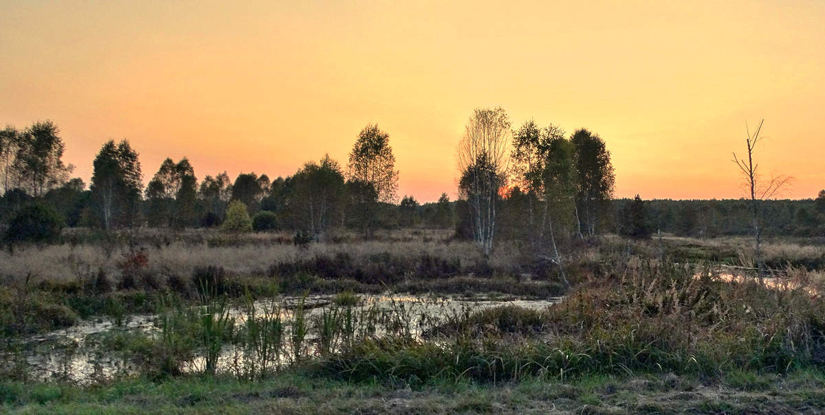 Вечерняя осенняя картина