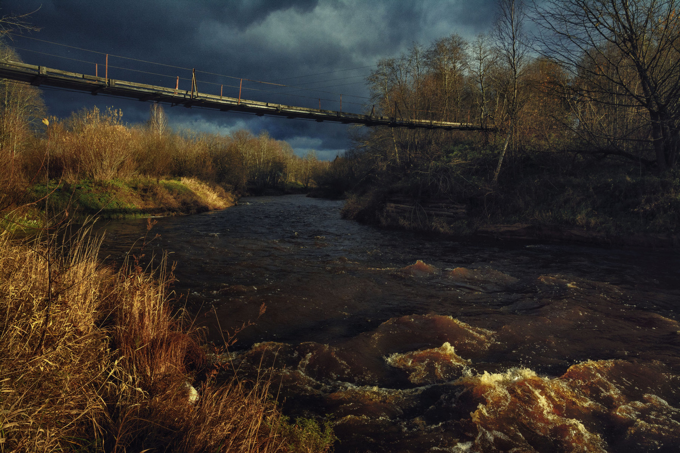 Жизнь вокруг