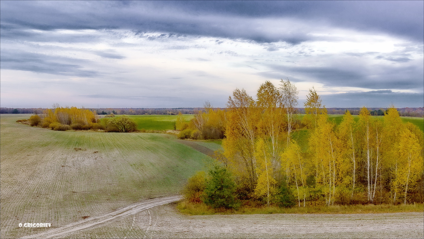 Октябрь резвится, ветром нападая...