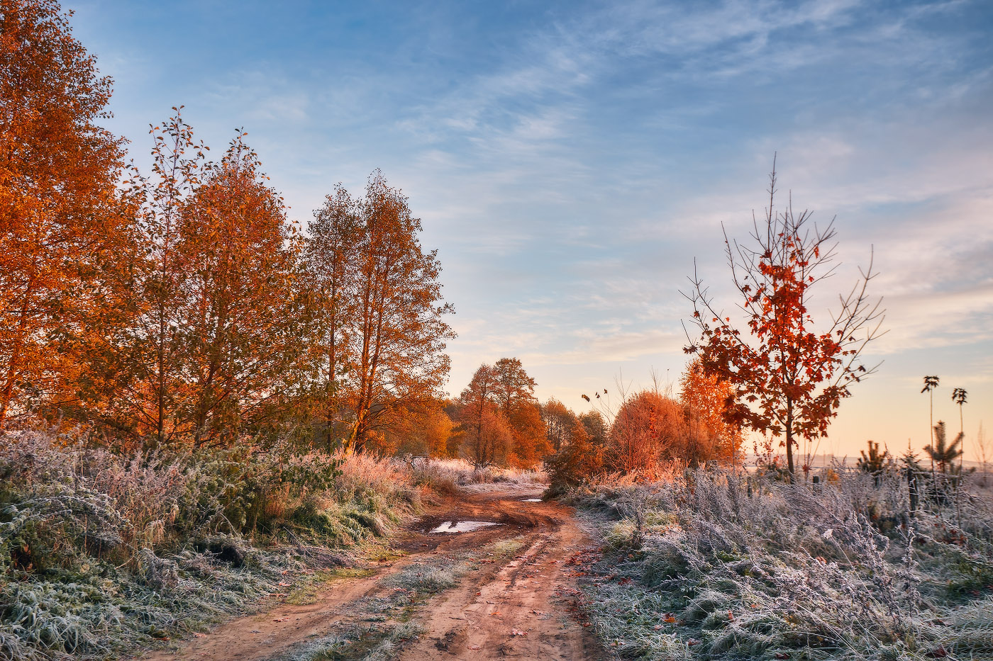 Утро морозное