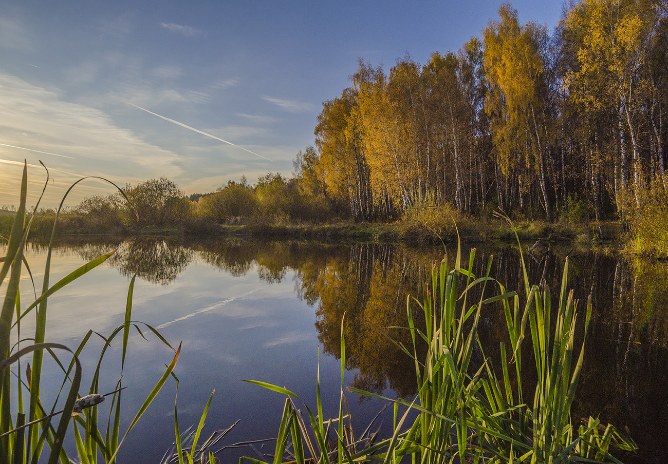 Яркие модницы в зеркало смотрятся