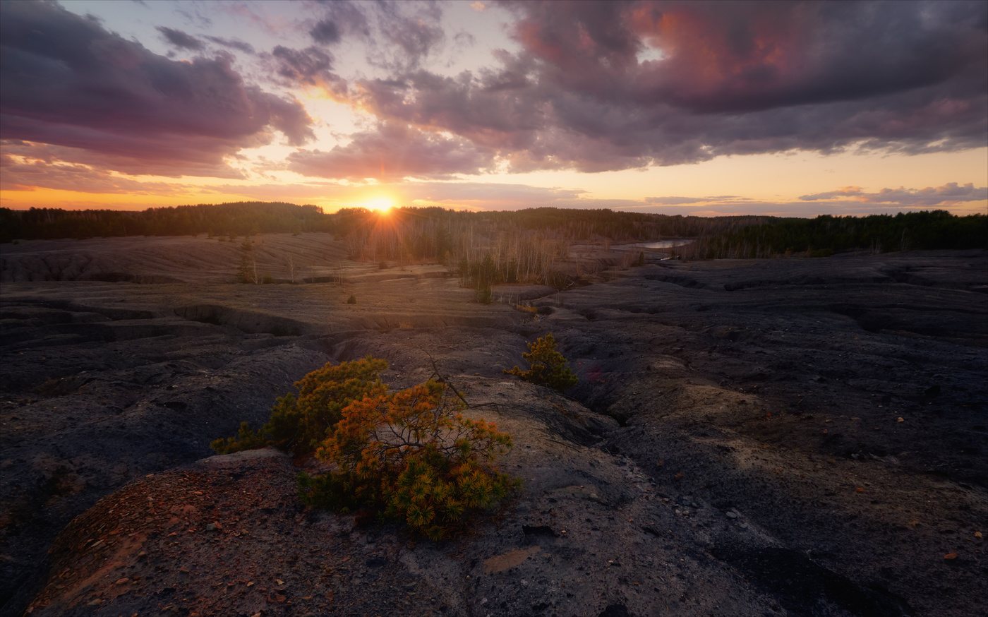 Вспыхнув на миг...