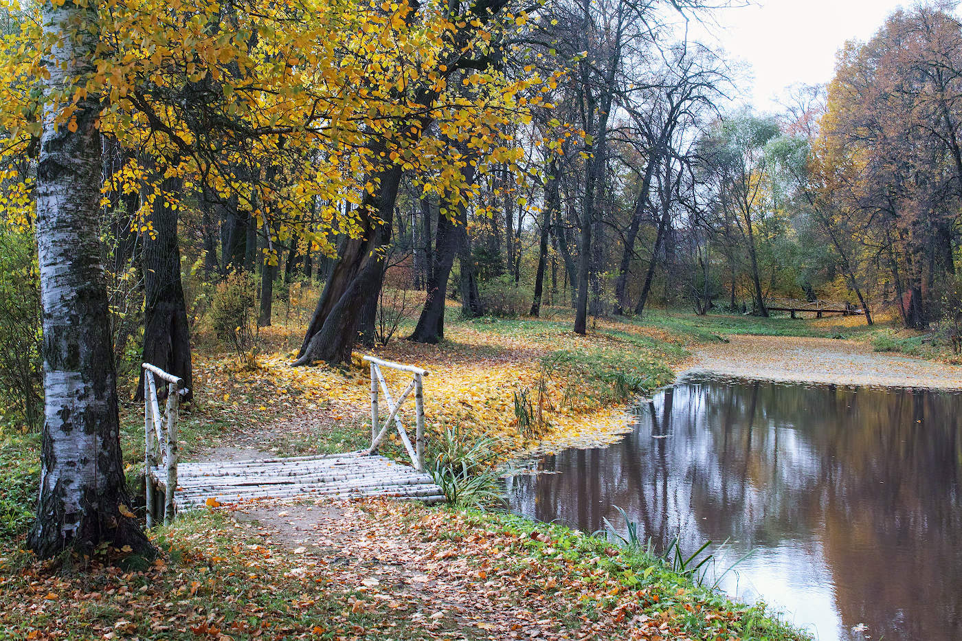 Золотая осень в Ясной поляне