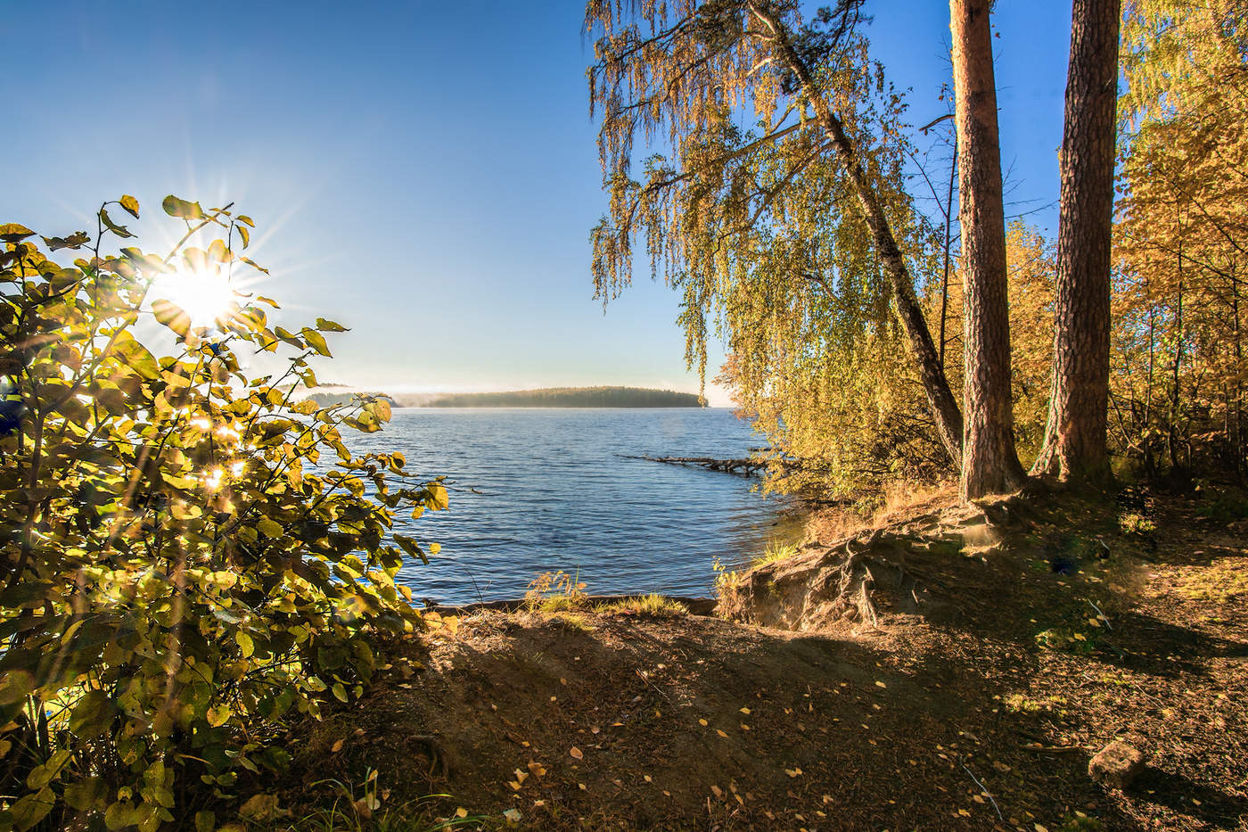 Утреннее солнце