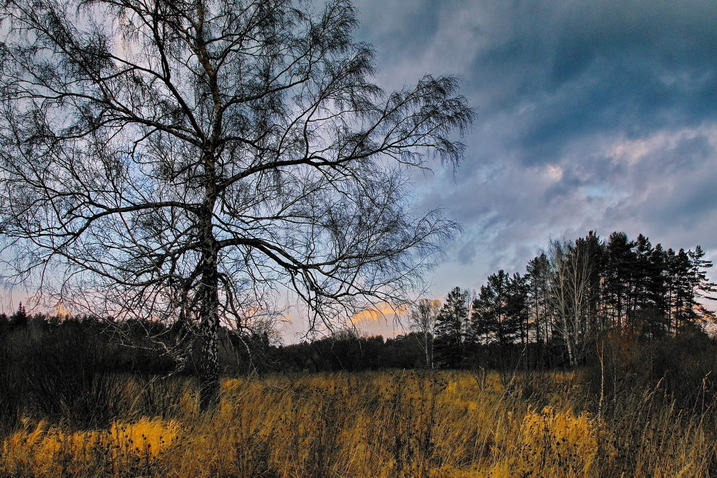 Осенний вечер.