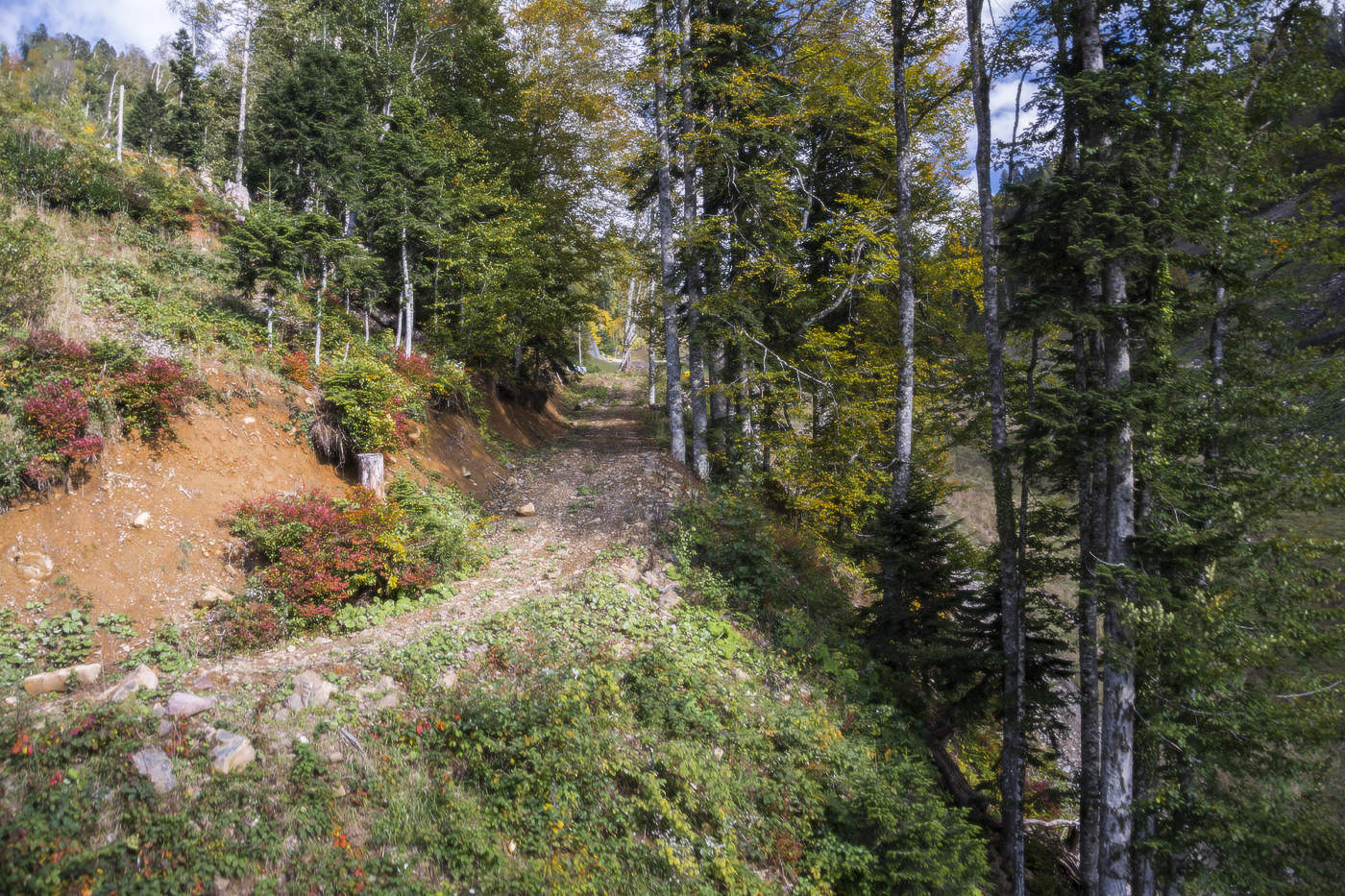 Осенние краски гор.