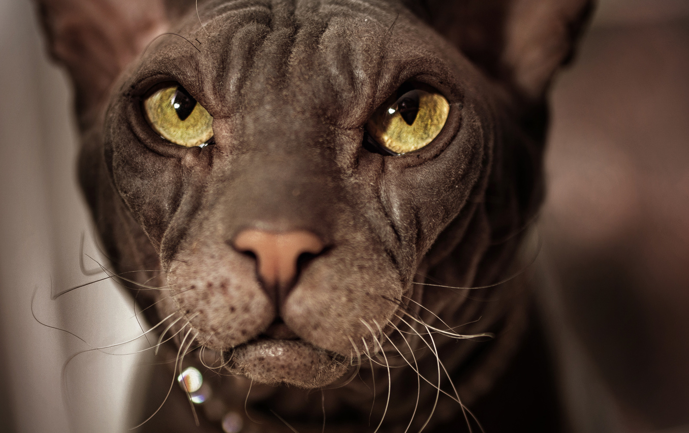 Пропустить через себя..)