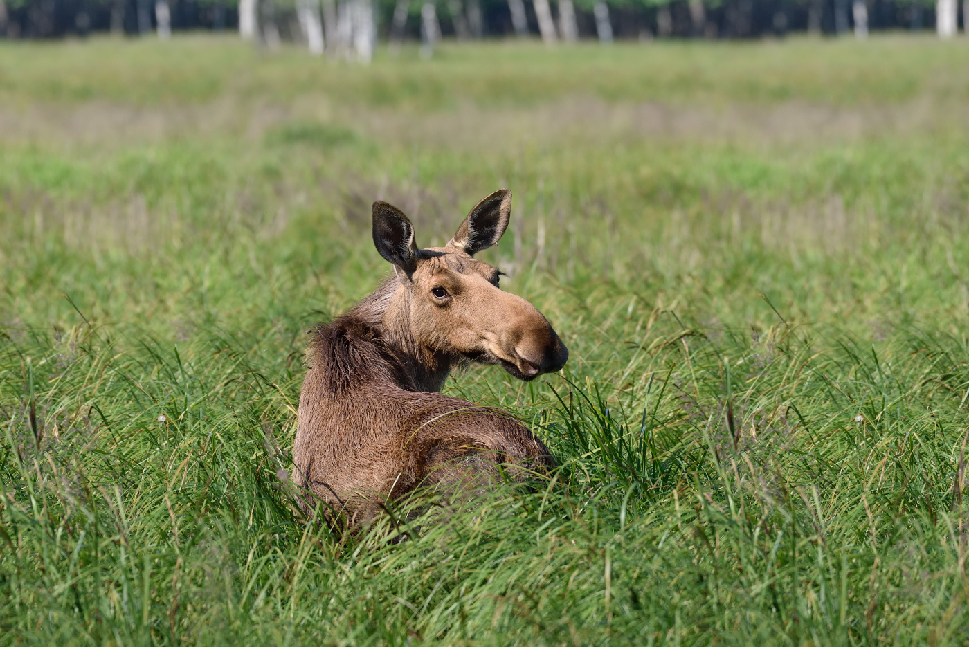пора удирать