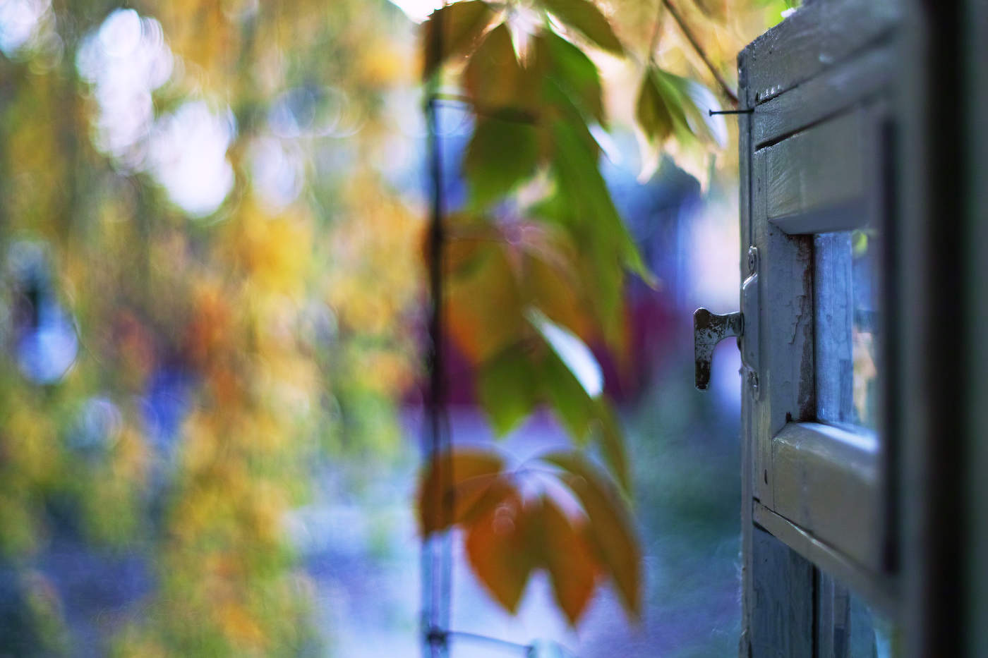 Окошко в осень