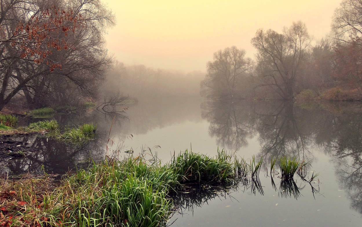 Октябрьские туманы