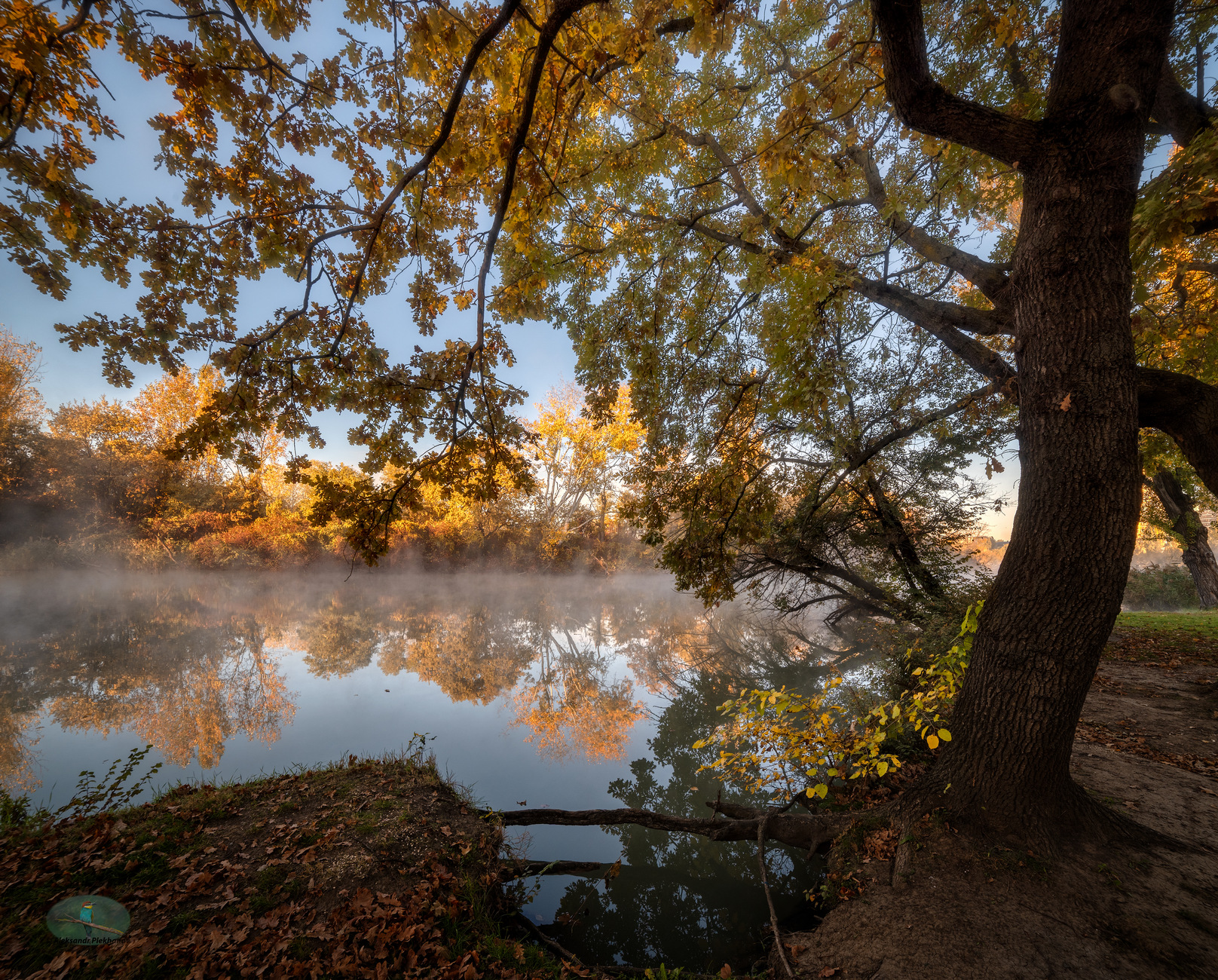 Осеннее утро