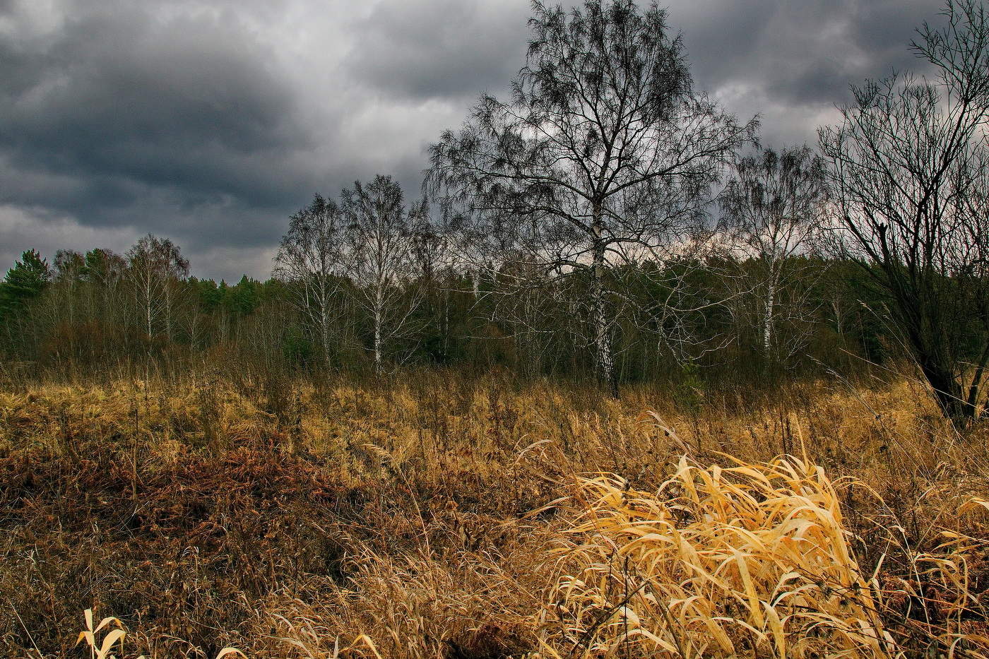 *Октябрьским днём.**