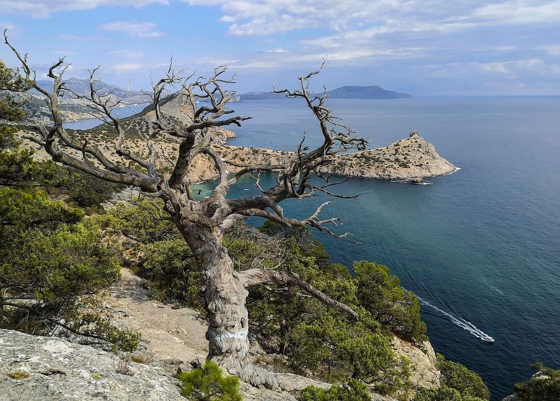 Крым. Новый Свет.