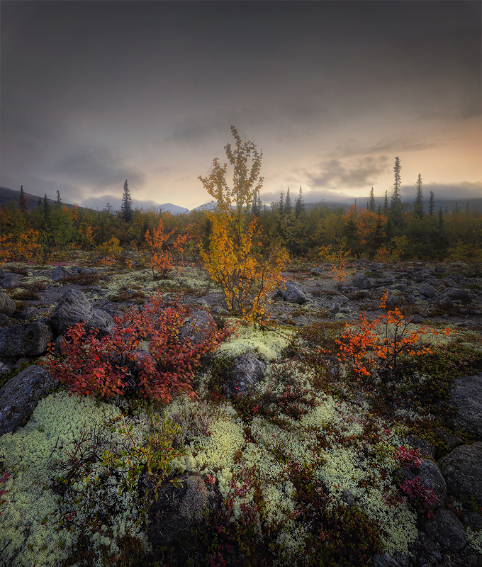 Строгость северной природы