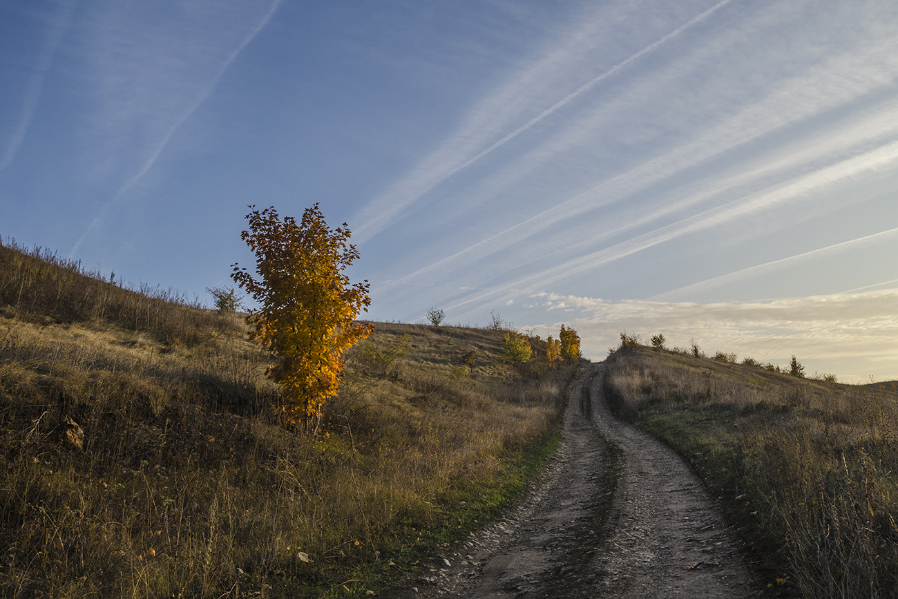 В золотых одеждах октября