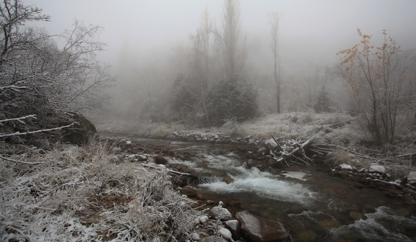Зима всегда начинается неожиданно