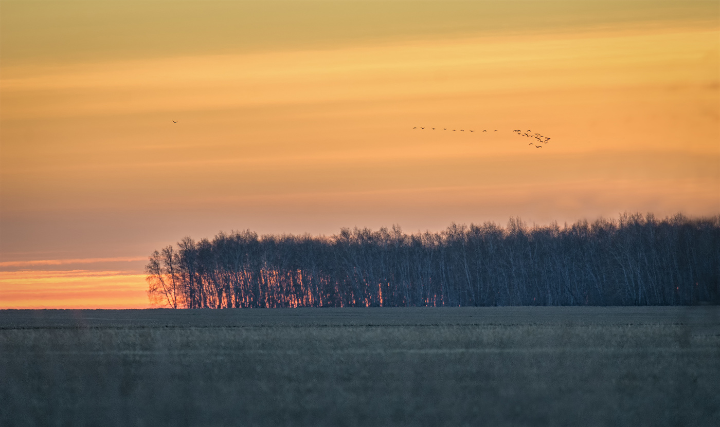 Солнце встаёт..