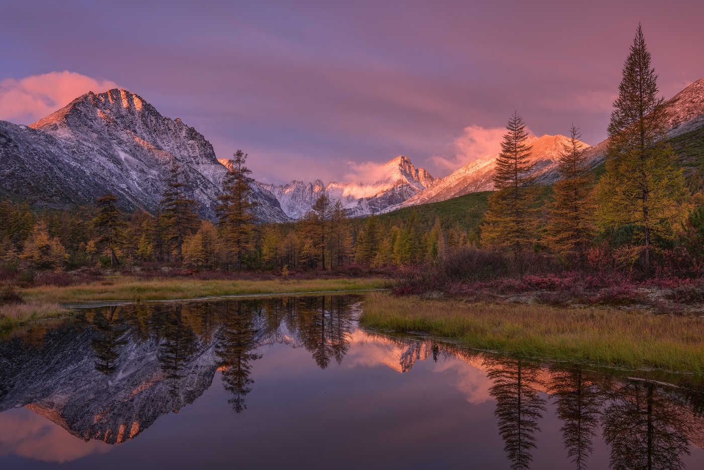 Розовое пробуждение....