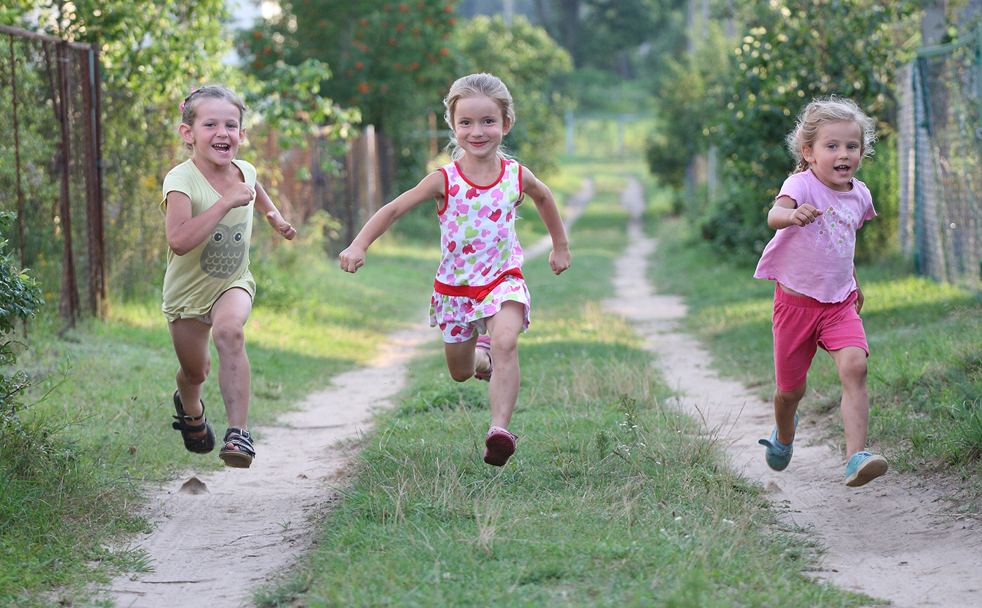 дачный спринт