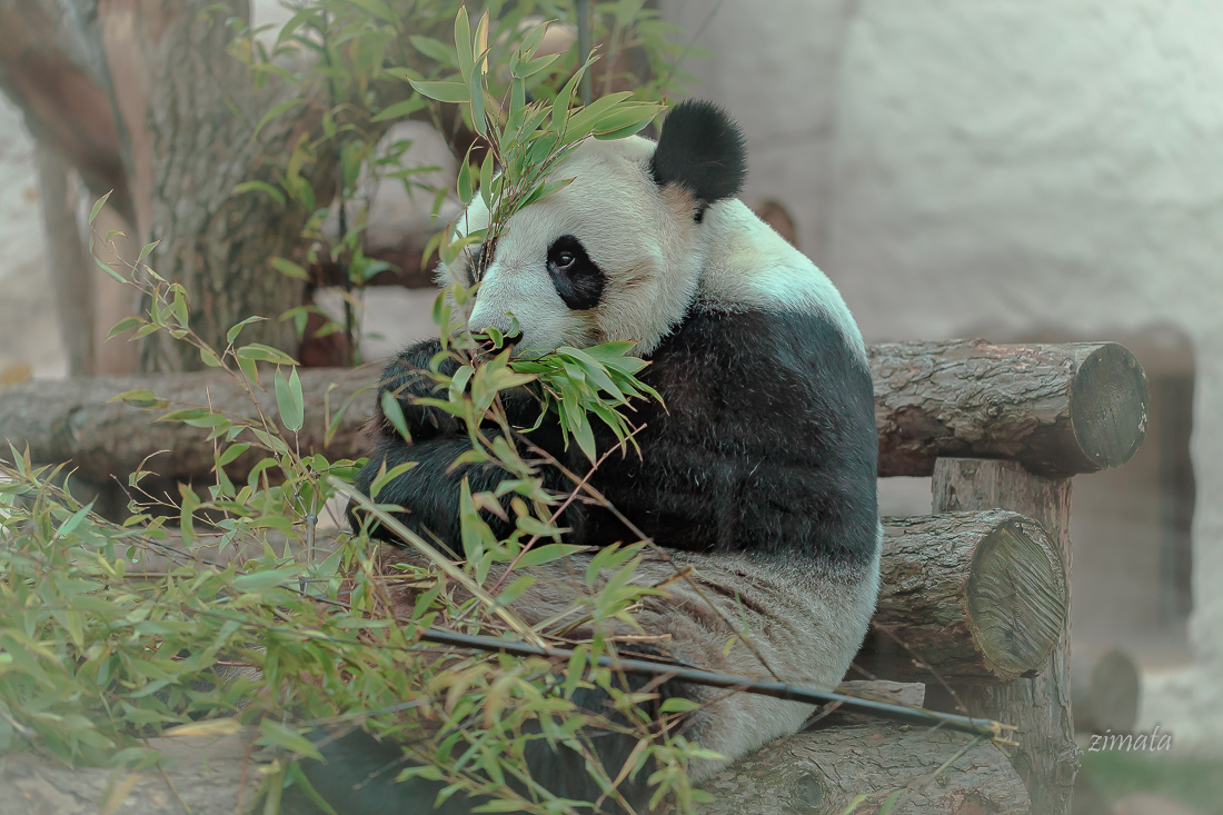 приятного аппетита