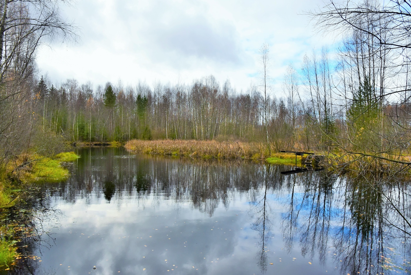 "Покоем веет от пруда ..."