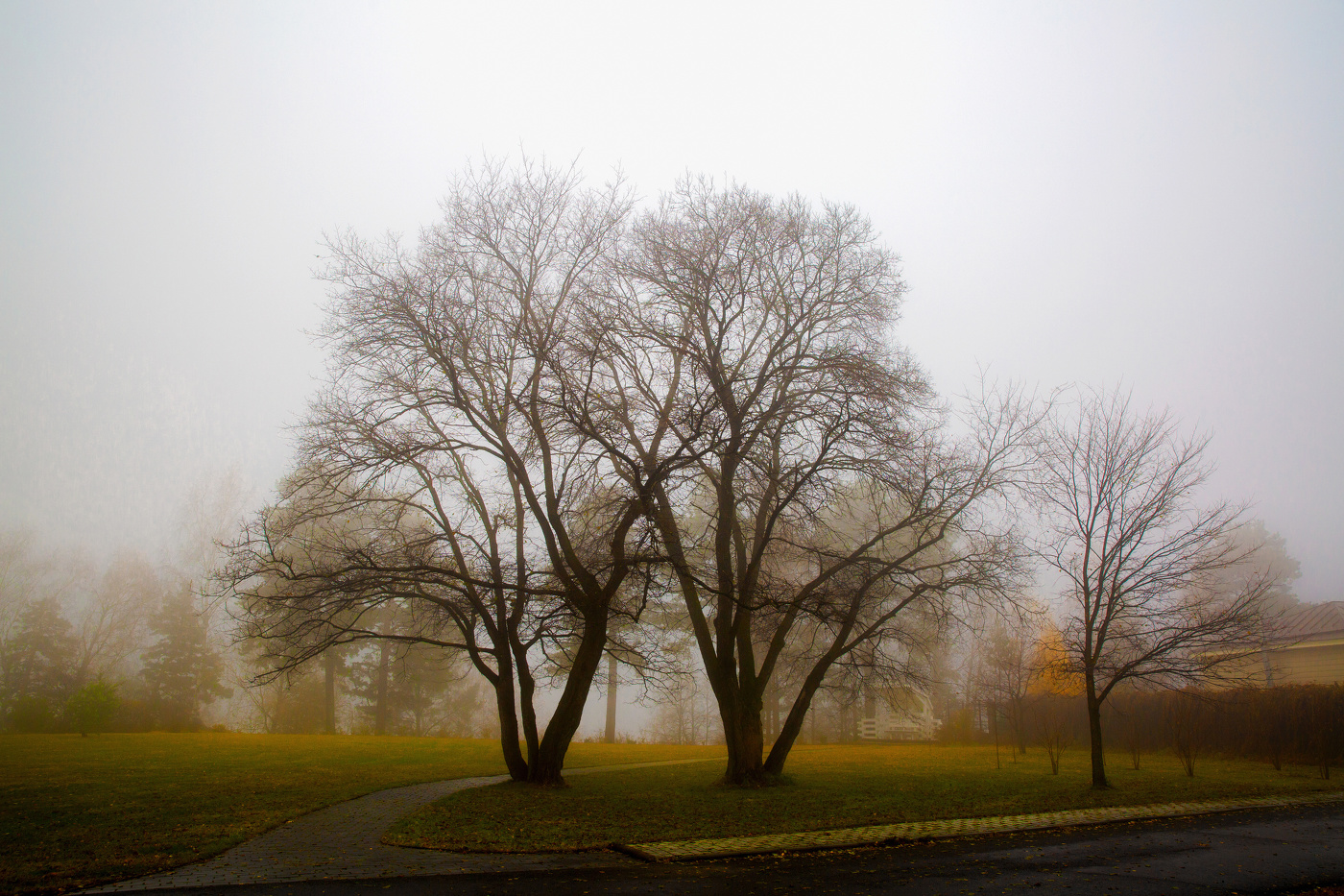 ЕРМАКОВО ПОЛЕ