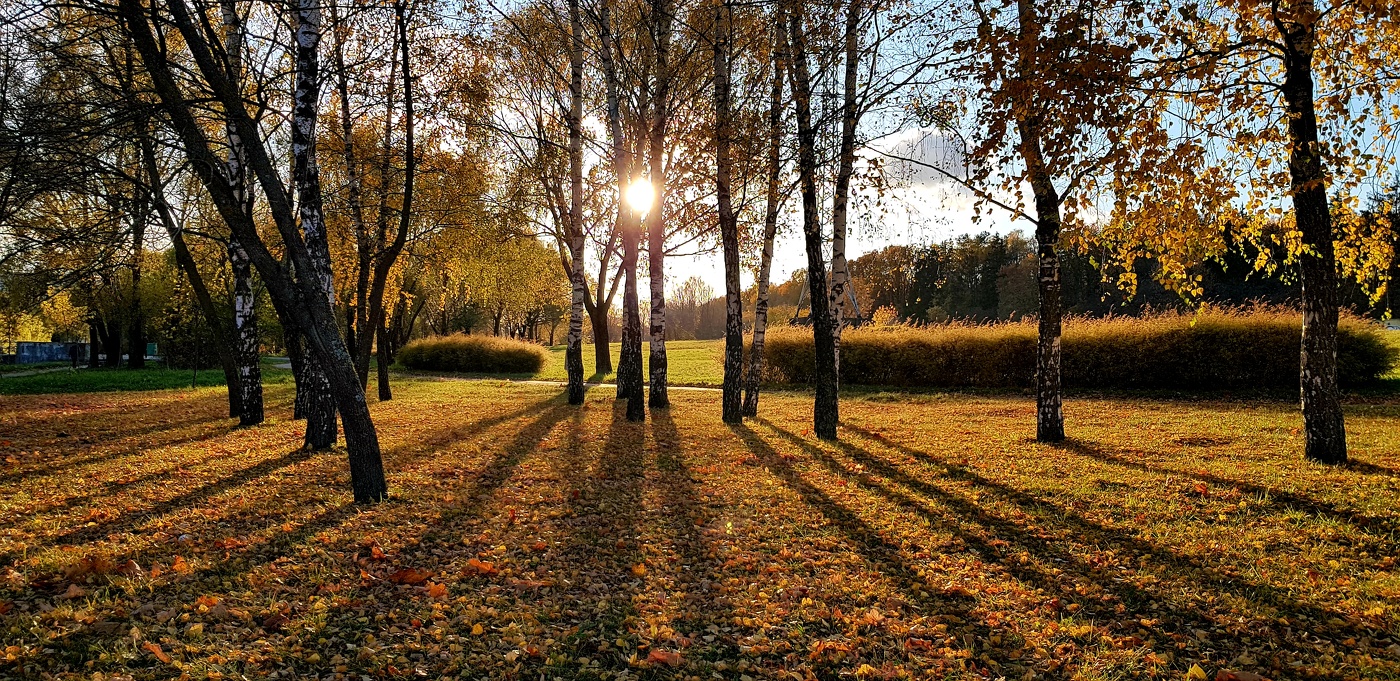 Графика осени...