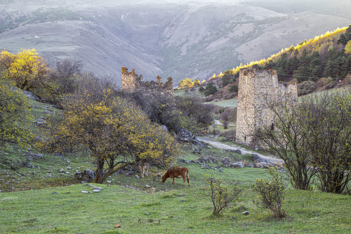 Осень в Ингушетии