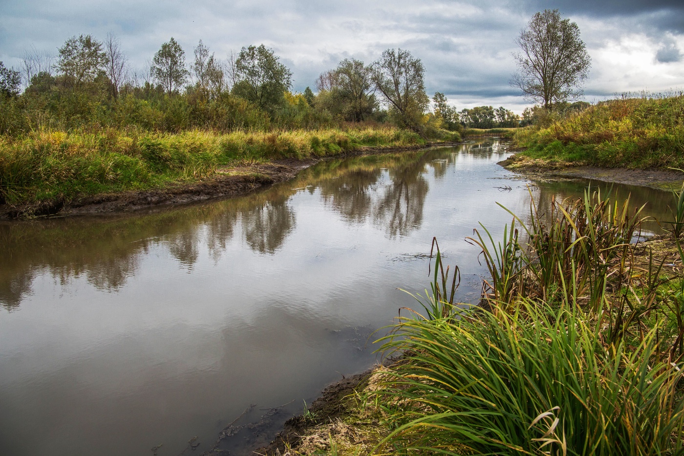 Пасмурный день