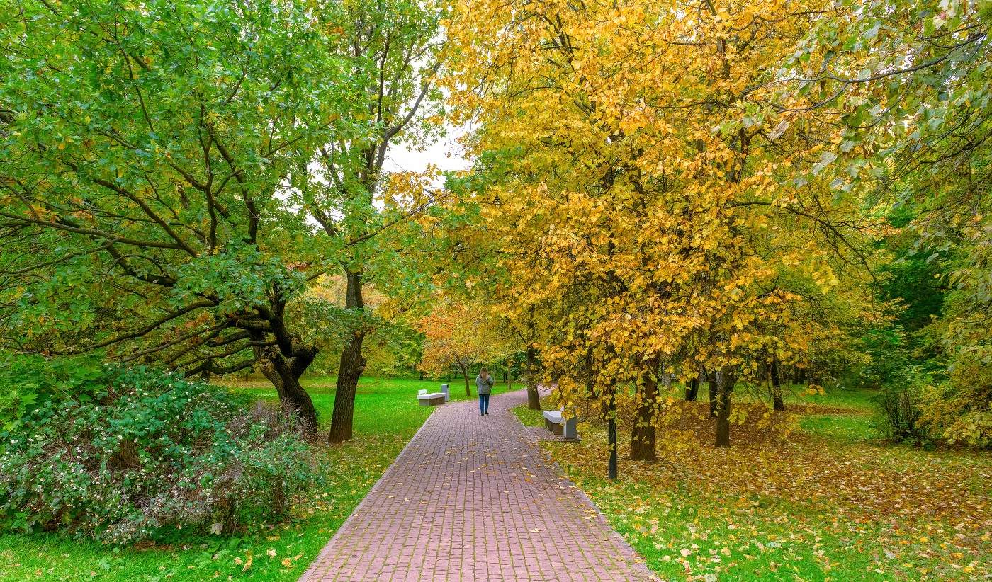 Ранний октябрь