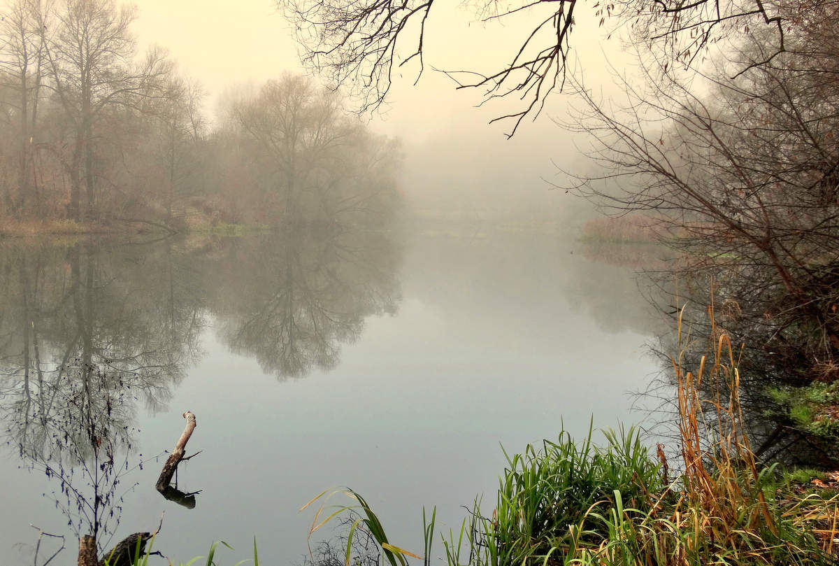 Густой осенний туман плывёт по реке