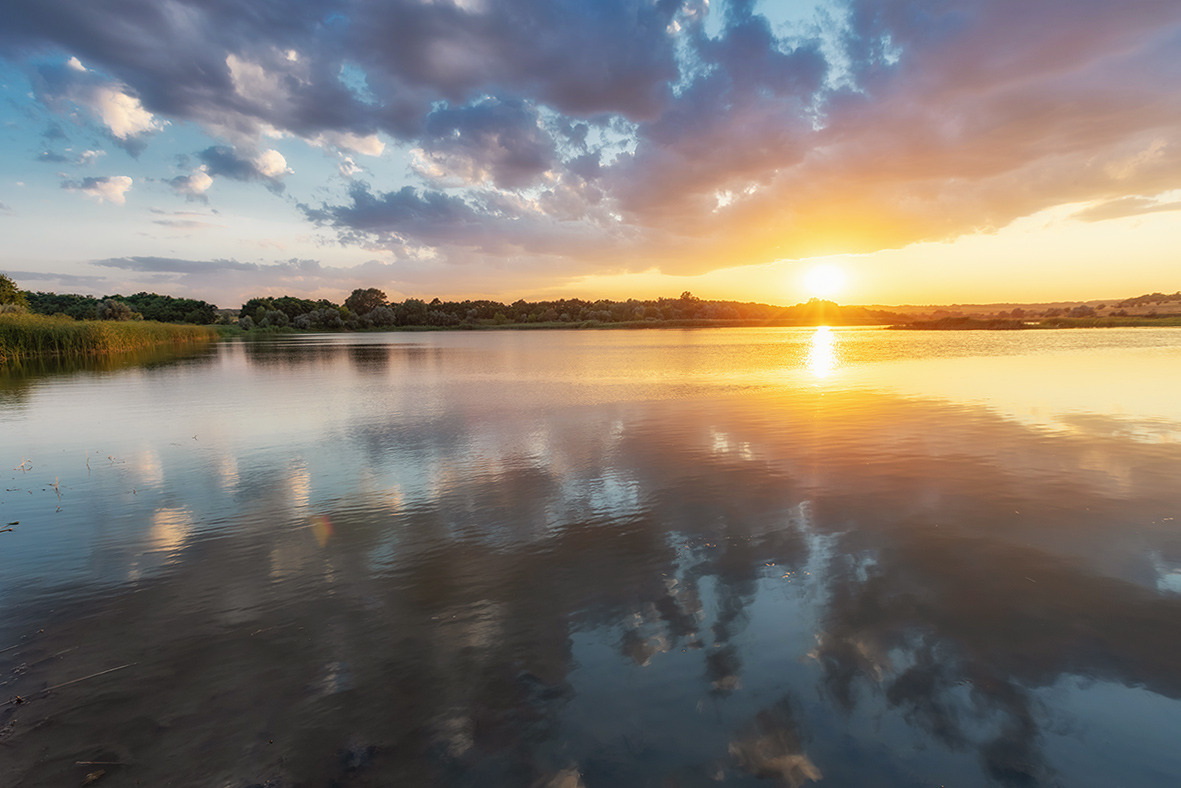 Гладь старинного пруда