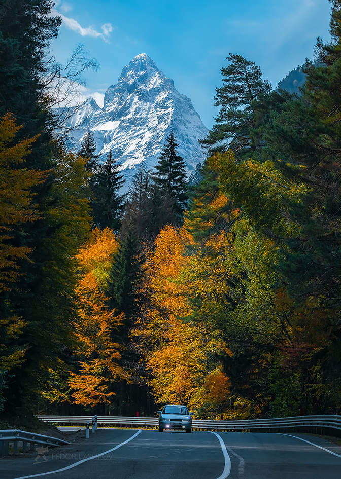 Классика вида