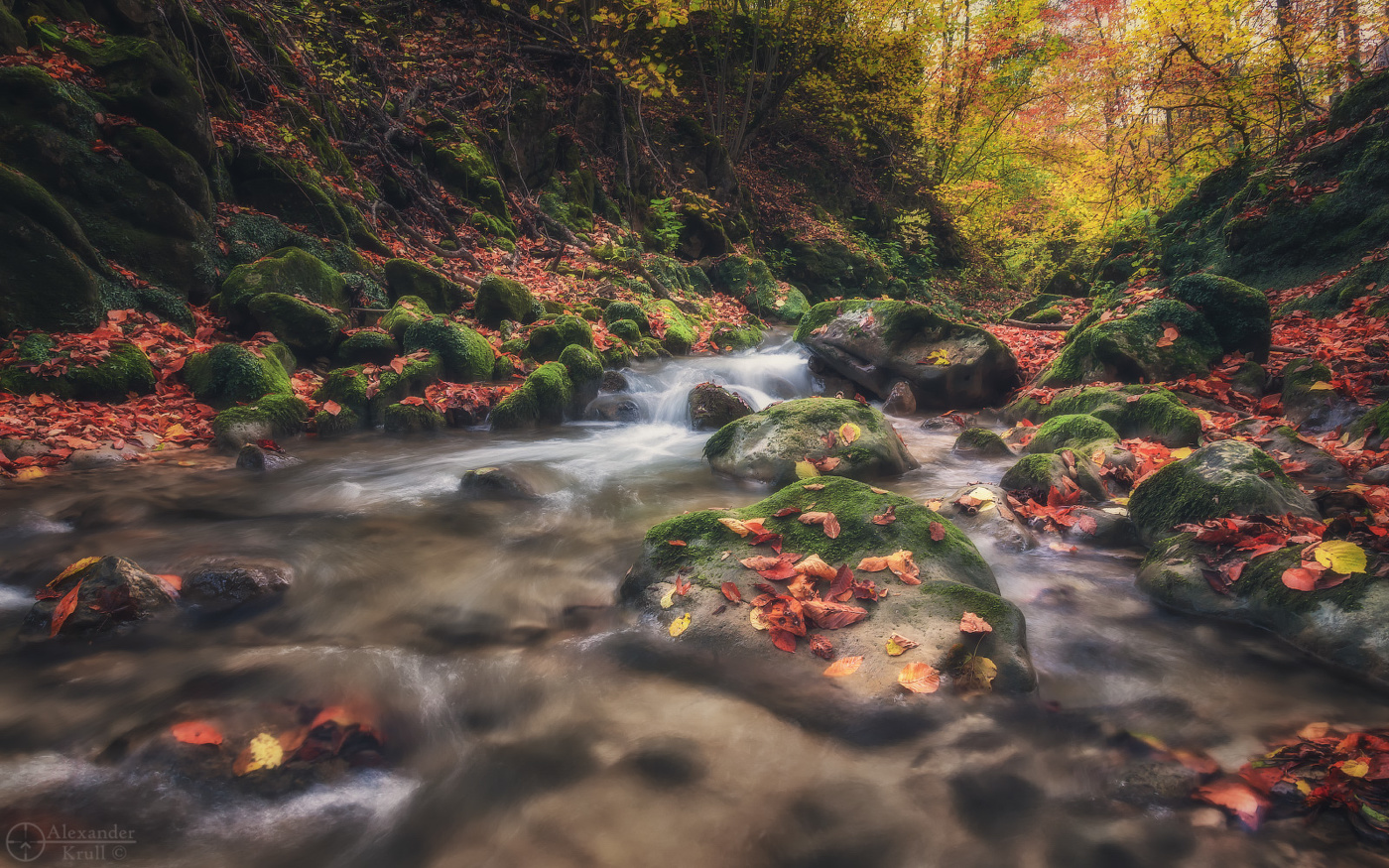 Сквозь листопад