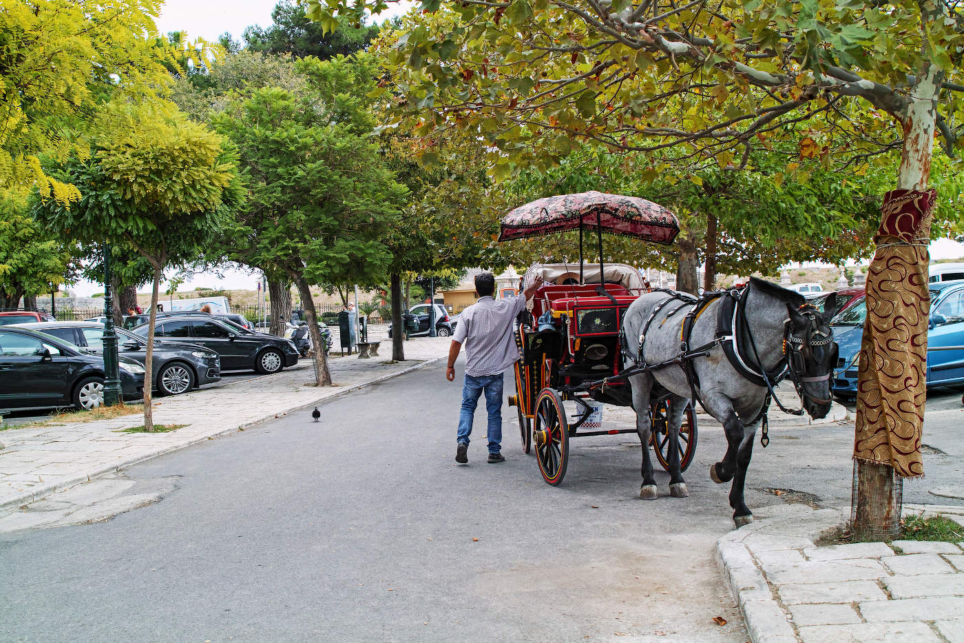 Эх ,прокачку!