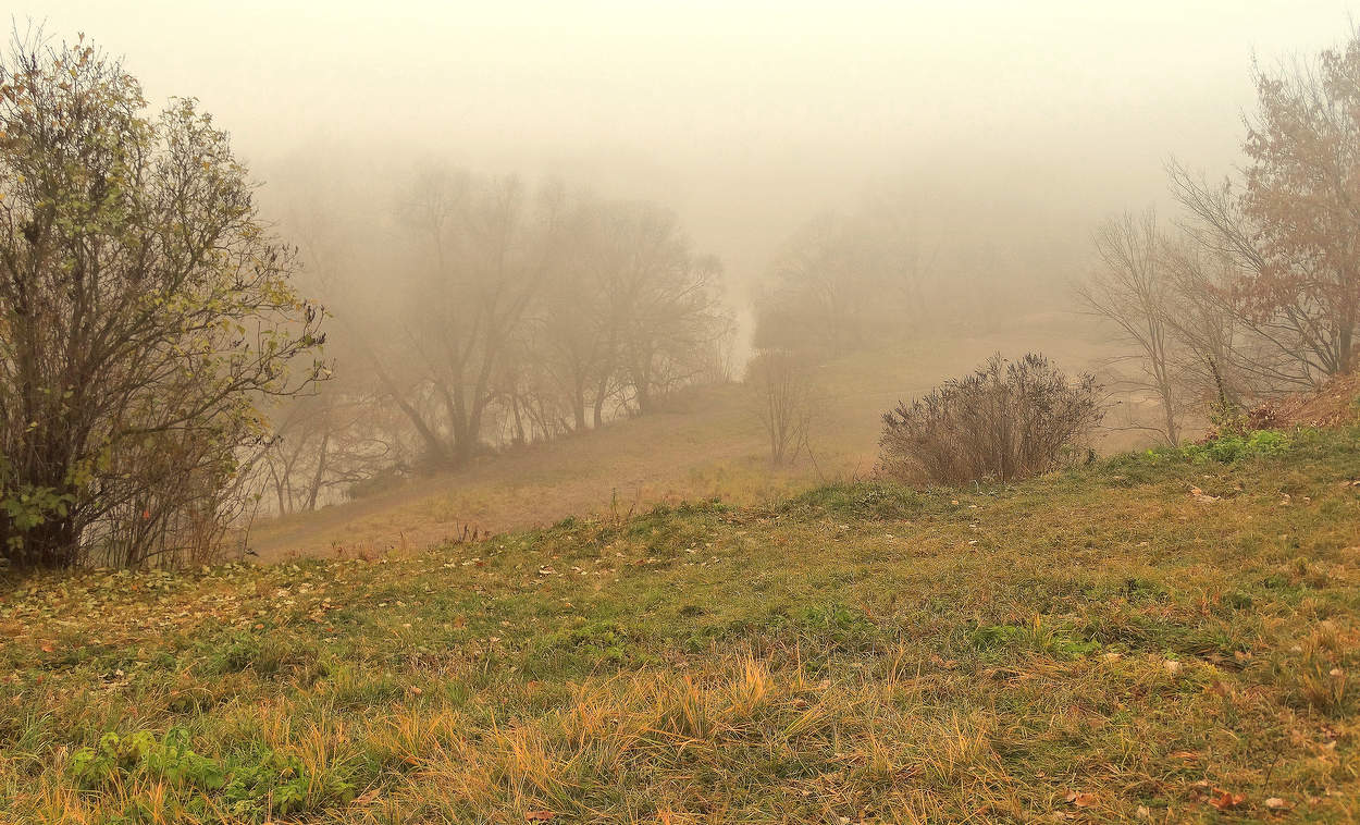 Туман на высоком берегу реки