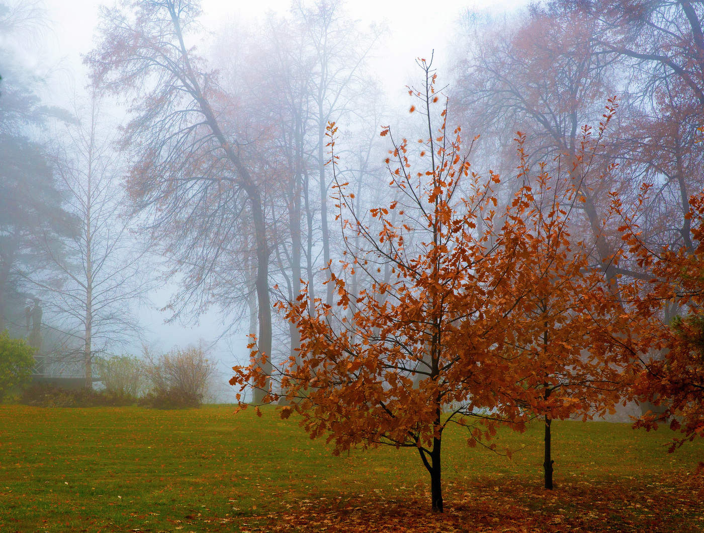 Осенний пейзаж