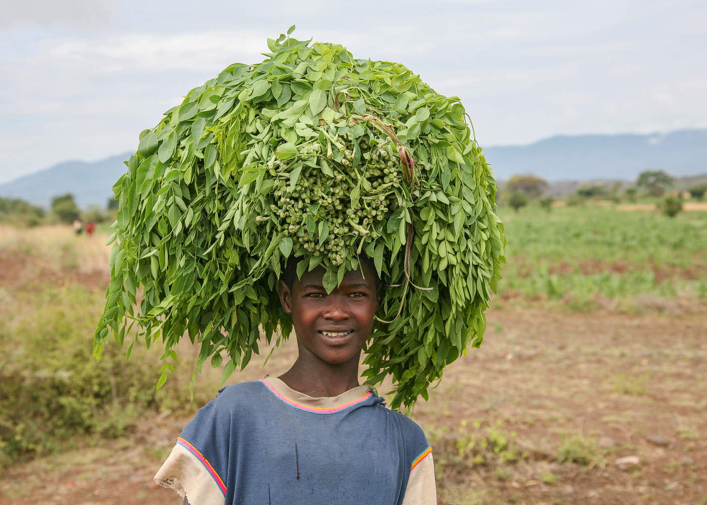 Растительная папаха