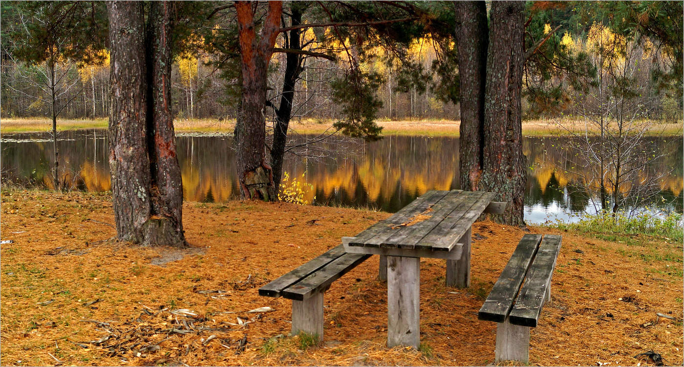 Вот и лето прошло